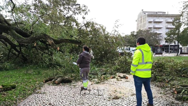 Kristin deixa rasto de destruição no Centro do País