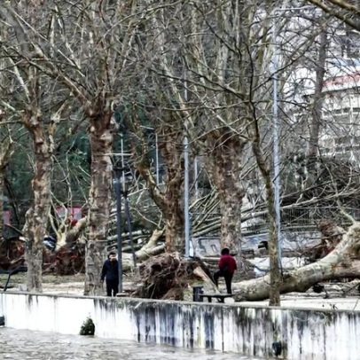 Proprietários têm até 30 de junho para limpar terrenos em áreas de calamidade