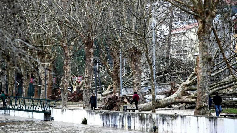 Proprietários têm até 30 de junho para limpar terrenos nos municípios abrangidos por calamidade