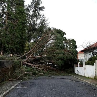 Proteção Civil de Castelo Branco alerta para catástrofes