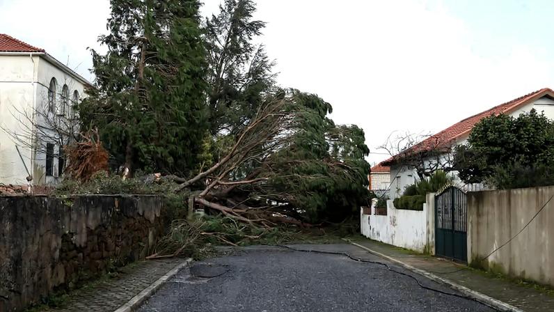 Destruição causada pela depressão Kristin em Castelo Branco
