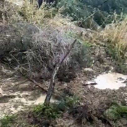 Câmara de Almada prolonga alerta por risco de deslizamentos