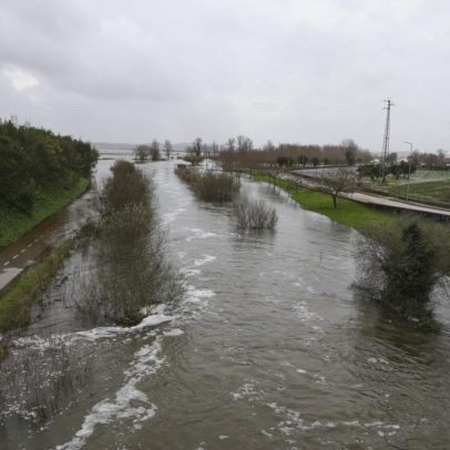 Câmara e Universidade de Coimbra debatem cheias do Mondego hoje