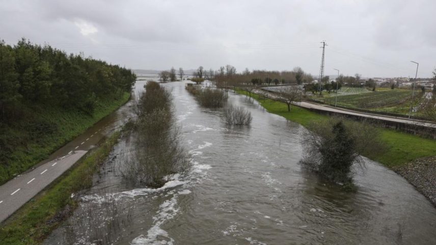 Câmara e Universidade de Coimbra debatem cheias do Mondego hoje