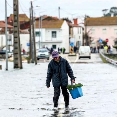 Planos de emergência desatualizados em mais de um terço de municípios continentais