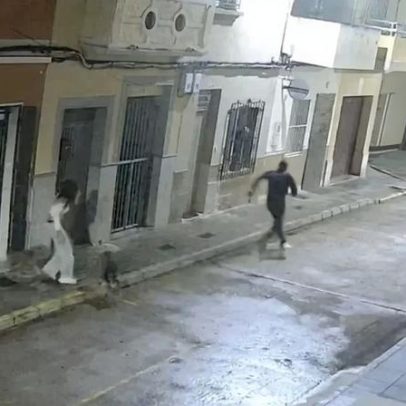 Cão salva tutora de tentativa de rapto em Espanha