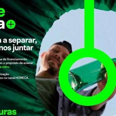 Candidaturas abertas ao programa Rede Recicla +