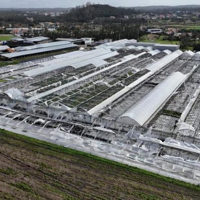 Agricultores estimam prejuízos de 600 milhões com mau tempo