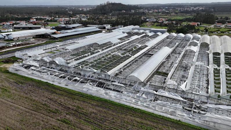 Agricultores estimam prejuízos de 600 milhões com mau tempo