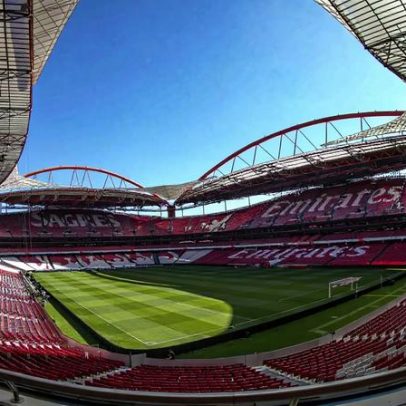 Benfica não é punido por queimaduras de criança de 8 anos no Estádio da Luz