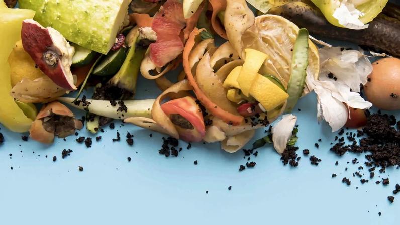 Coimbra aumenta esforços na recolha de biorresíduos para reciclagem e sustentabilidade.