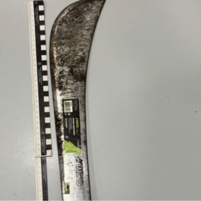 Homem detido por posse ilegal de arma na Ericeira