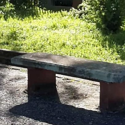 Adolescente agride motorista de autocarro em Ovar