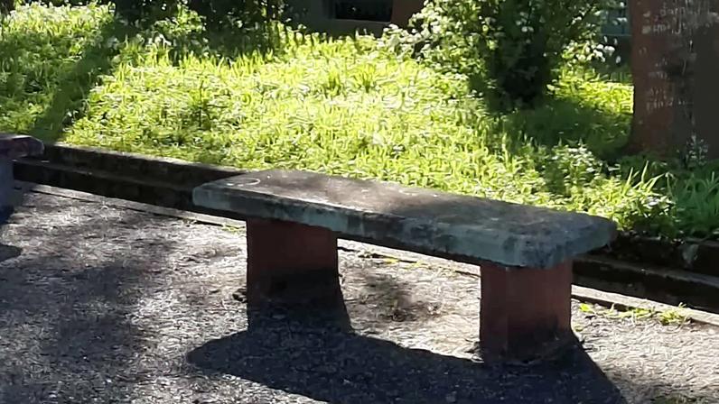 Preço do gás natural sobe mais de 4% e ultrapassa os 54 euros