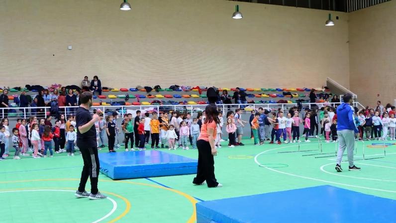 Disciplina não é ensinada de forma generalizada no 1.º ciclo