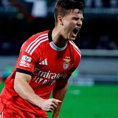 Dahl fica de fora do playoff de acesso ao Mundial na Suécia