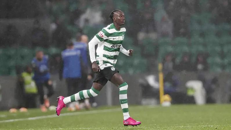 Faye de leão ao peito