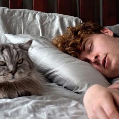 Gato a dormir com o dono: vantagens e desvantagens da companhia noturna