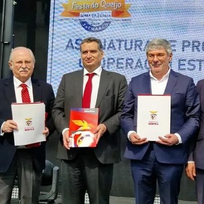 Benfica assina protocolo para reflorestação de 50 mil árvores