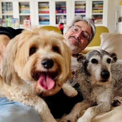 Cadelas de Nuno Markl ganham retratos em quadros; humorista fica sem palavras