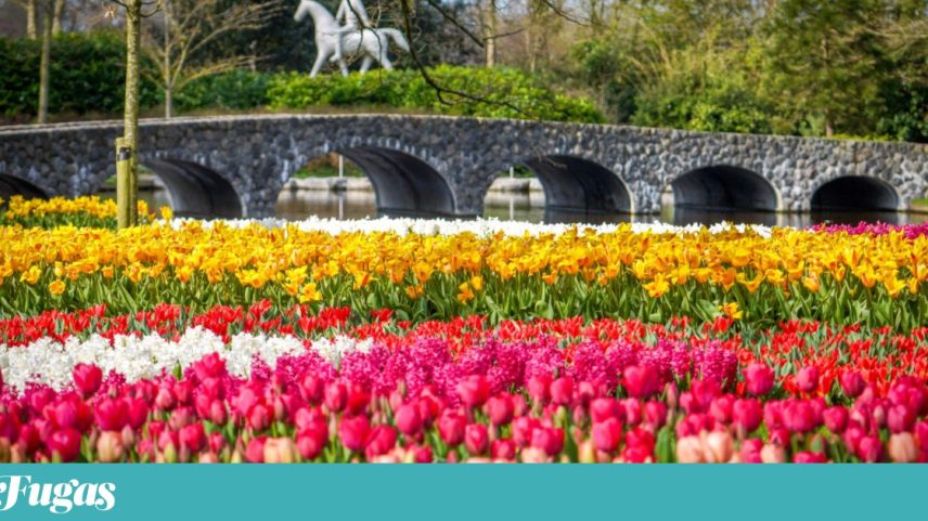 Parque Keukenhof