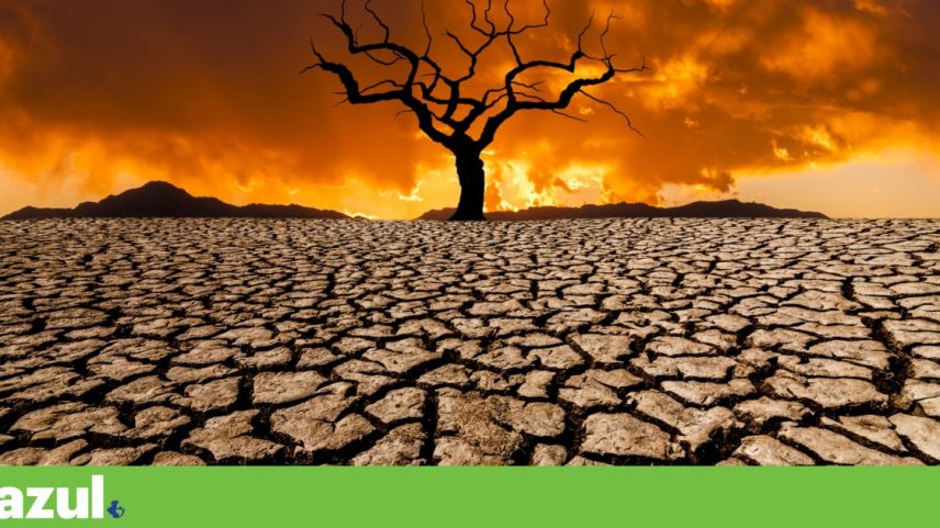 Estudo olhou para três grandes domínios de risco: precipitação extrema em áreas densamente povoadas, secas simultâneas em regiões agrícolas essenciais e condições meteorológicas favoráveis a incêndios florestais