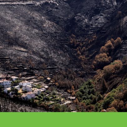 Bruxelas propõe estratégia europeia para travar fogos florestais