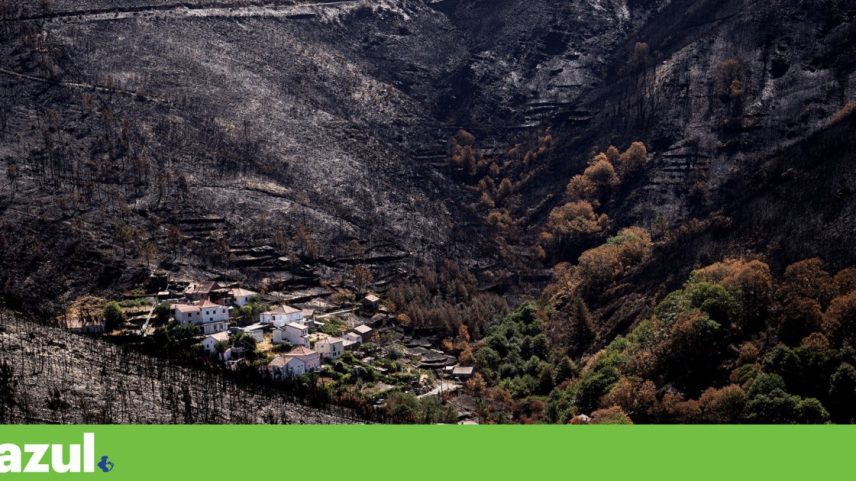 A paisagem em Arganil após os incêndios florestais de 2025