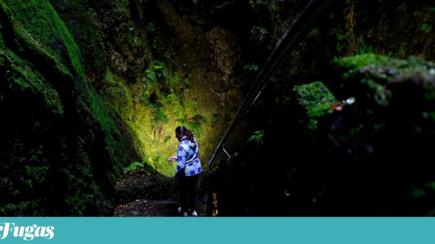 O Algar do Carvão é uma gruta no interior de um cone vulcânico