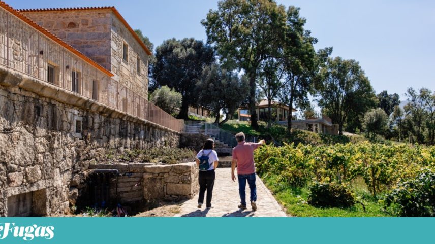 O vinho A Torre é a melhor expressão da Quinta da Torre, de Anselmo Mendes