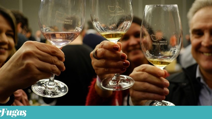 Os vinhos de Trás-os-Montes também estarão em destaque no evento internacional em Chaves