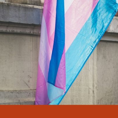 Reversão da lei da identidade de género: é a vontade do povo?