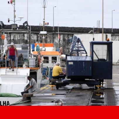 Governo prepara redução no gasóleo agrícola face à subida dos preços