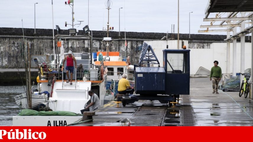 Objectivo do Governo é baixar 10 cêntimos o gasóleo agrícola sempre que o aumento seja superior a esse montante