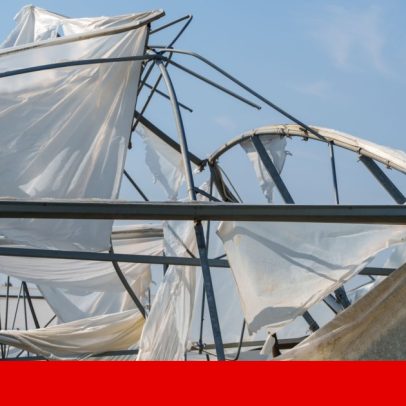 Supervisor admite vulnerabilidade nos créditos às zonas afetadas pelo mau tempo