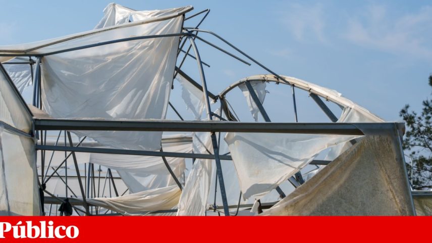 A tempestade Kristin destruiu activos físicos de empresas localizadas na região