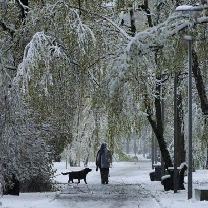Nevão raro na primavera atinge Moscovo, segundo vídeo