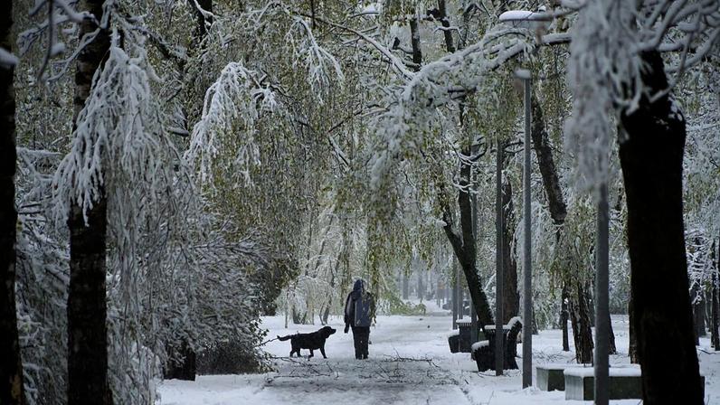 Uma mulher passeia com os cães por uma alameda coberta de neve em Moscovo, Rússia, segunda-feira, 27 de abril de 2026
