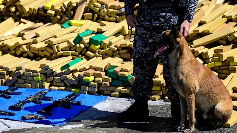 Cão farejador localiza 48 toneladas de canábis em favela no Rio