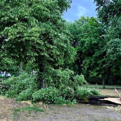 Vários mortos em incidente durante caça aos ovos de Páscoa no norte da Alemanha