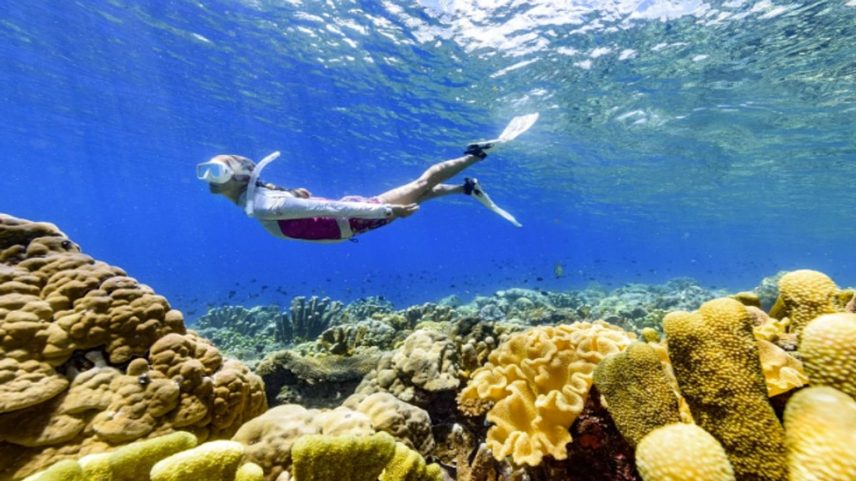 Pessoa a fazer snorkelling nas Ilhas Salomão