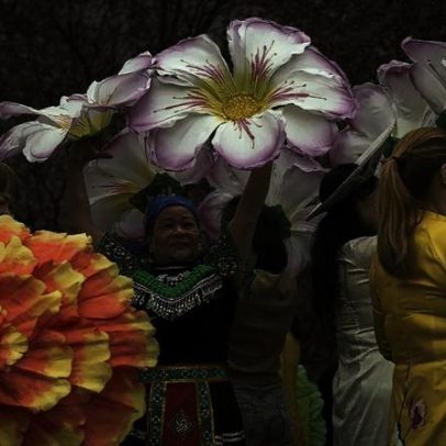 Festival das cerejeiras em Berlim atrai muitos turistas nesta primavera