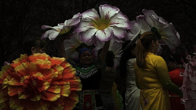 As pessoas apreciam as cerejeiras em flor durante o Festival da Cerejeira em Flor nos Jardins do Mundo em Berlim, Alemanha, no domingo, 12 de abril de 2026.
