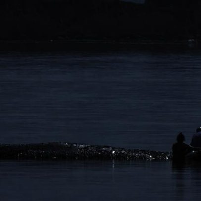 Quem financia o salvamento da baleia encalhada no Báltico