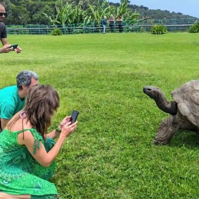Jonathan, a tartaruga mais velha do mundo, continua viva