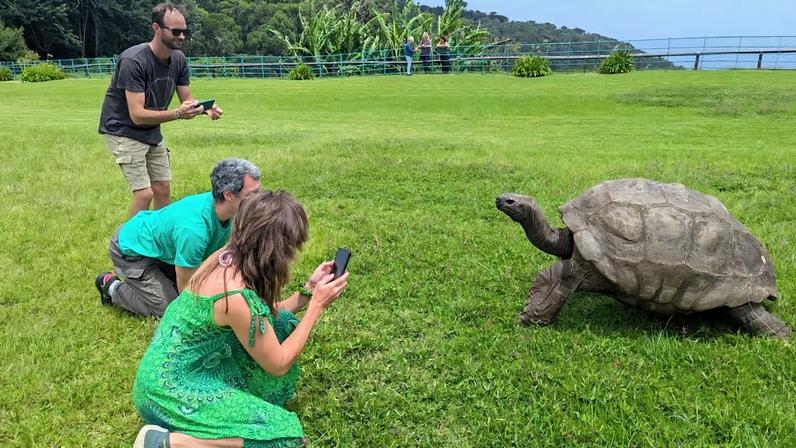 Turistas fotografam Jonathan, a tartaruga, no relvado da Plantation House, na ilha de Santa Helena, no Atlântico Sul, na quinta-feira, 22 de fevereiro de 2024.