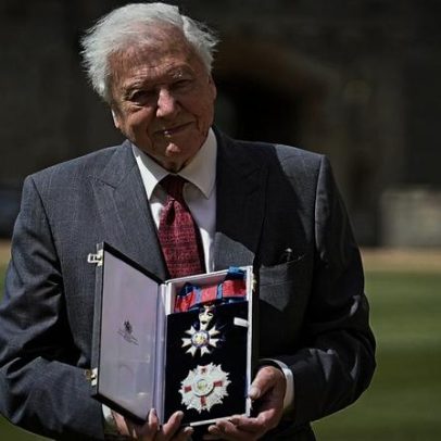 Convidados atuam na festa do 100.º aniversário de David Attenborough