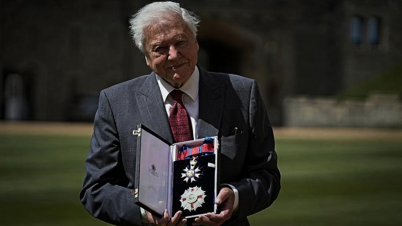 Convidados atuam na festa do 100.º aniversário de David Attenborough