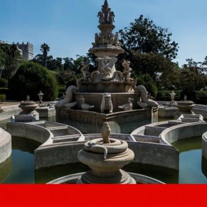 Projeto procura pinturas e estátuas de animais em Lisboa para contar a História