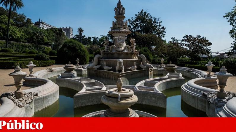 Projeto procura pinturas e estátuas de animais em Lisboa para contar a História